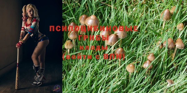 герыч Волосово