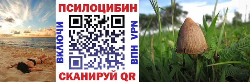 Псилоцибиновые грибы MAGIC MUSHROOMS  Звенигово 