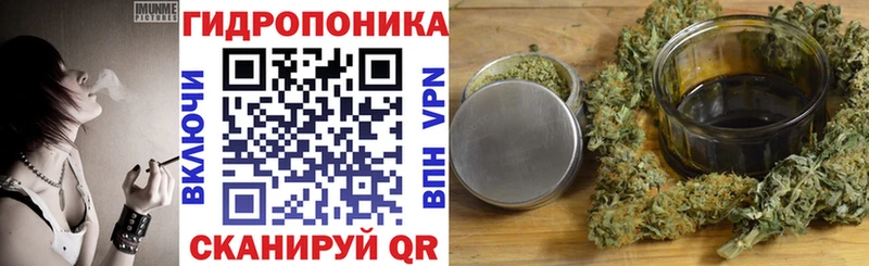 Бошки марихуана White Widow  Звенигово 